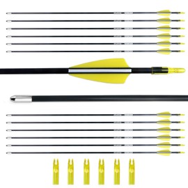 BOWSOUL 31“ Archery Arrows Training Practice Target Arrows for Kids Youth or Beginners Safe Blunt Points Durable Shaft on Recurve Bows Youth Bow and Longbows(Pack of 12) (Yellow White)