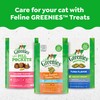 Greenies Feline Adult Dental Cat Treats, Oven Roasted Chicken Flavor,