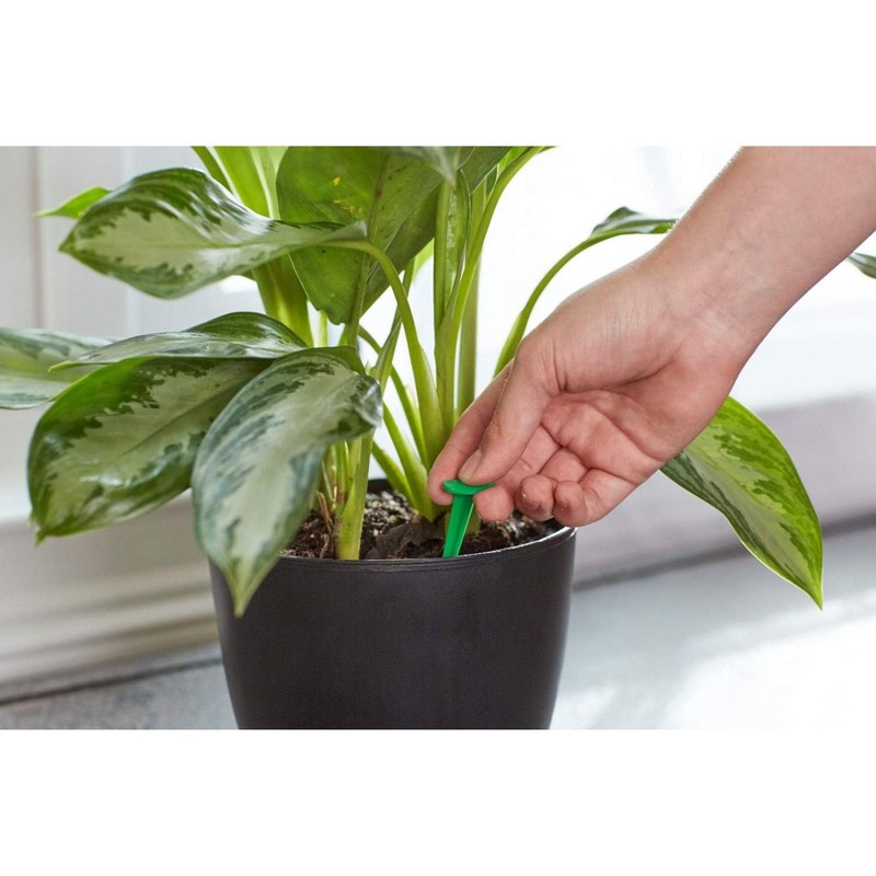 Miracle-Gro Indoor Plant Food Spikes, Includes 24 Spikes - Continuous
