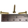 100pc. #4 x 1/2" Brass-Plated Phillips Round-Head Wood Screws