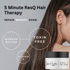Jess & Lou 5 Minute ResQ for Dry Hair