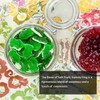 NY Spice Shop Gummy Frog Candy - 3 Pound Edible