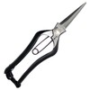 Kinboshi Venus Sinogi Bud Cutting Shears (Gold Stop) 7.9 inches