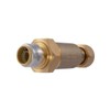 Cash Acme 1 Inch x 3/4 Inch BF5 Dual Check