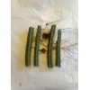 Cactus 20 Night Blooming Cereus Cactus Bulk Cacti Easy to