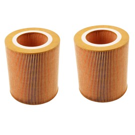 1613872000 Air Filter Replace for 89295976 6211472350 100001611 C1250 Compatible with UP6-15-125 UP6-20-125 UP6-25-125 UP6-30-125 UP6S-20 UP6S-25 UP6S-30 IRN20 IRN25 IRN30 EP20 EP30 (Pack of 2)
