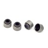 Intake & Exhaust Valves and Seal For Polaris Predator 500