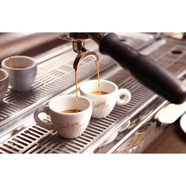 Twin Engine Coffee ESPRESSO - Espresso Roast, Whole Bean, Nicaraguan Coffee, 400g 14.1oz | Rich Specialty Grade Coffee packaged at the source | Nicaragua's Coffee