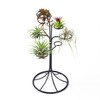 Air Plant Holder Iron Tree Stand Metal Air Plant Display