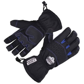 Ergodyne unisex adult Extreme Thermal Waterproof Winter Work Gloves, Black, Large US