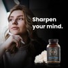 The Sporing Company Mycoveda Cognition Lions Mane Mushroom, Bacopa Monnieri