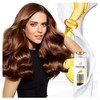 Pantene Pro-V Anti Dandruff Shampoo 2 Pack (2 x 250 ml)
