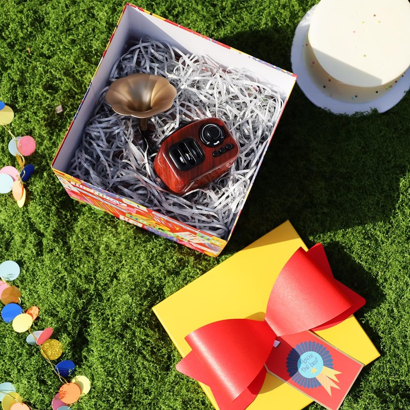 BIOBROWN Medium Birthday Gift Boxes with Lids for Presents, 9x9x9