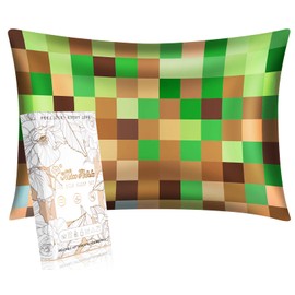 Miss Adola Silk Pillowcase - 50x75cm Standard Size Mulberry Kids Pillow Cases for Hair and Skin with Zipper Cute Cartoon Kawaii Bed Pillow Protector for Boys Girls Teens, Green Check