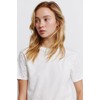 T-Shirt Studs