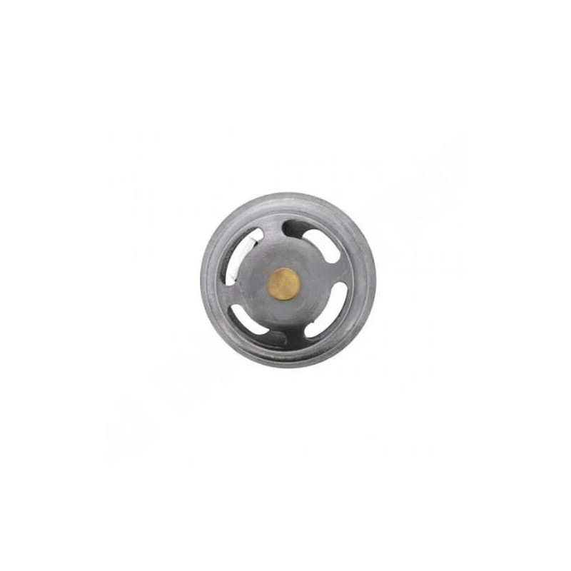 PAI Industries 4952631 3100300 181960 PAI Thermostat Fits Cummins 855