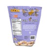 Gem Gem Ginger Candy Chewy Ginger Chews (Assorted Flavors, 19oz)