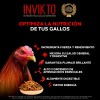 Suplemento Para Gallos De Combate Alimento Proteína Insecto