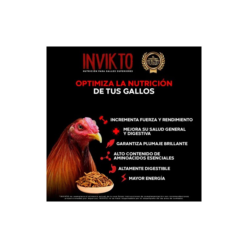 Suplemento Para Gallos De Combate Alimento Proteína Insecto