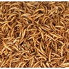 NAOUTHLY Bulk Dried Mealworms 10Lb Bag -Premium Non-GMO Dried Mealworms