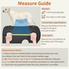 Mayerzon Full Body Dog Lift Harness, Support Senior & Disabled