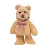 Rubies Walking Teddy Bear Pet Costume for Dogs or Cats,