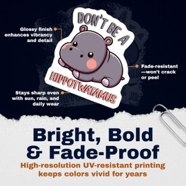 (2 Pack) Cute Hippo Stickers Sticker - 2 Pack - 5" On Longest Side - Made in USA - PLDFS10496
