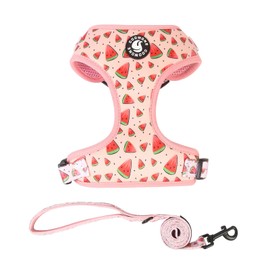 Coowone Dog Harness and Leash Set, Adjustable Puppy Harness and Soft Padded Dog Vest Harness for Small Medium Large Dogs