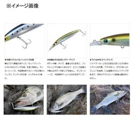 DAIWA Chivas Lure Shoreline Shiner Z Set Upper LH125SDR Adele Red Head