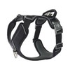 DOG Copenhagen Comfort Walk Pro 3.0 Harness, Black, M