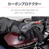 Daytona Motorcycle Gloves, Spring and Summer, Genuine Leather Palm (Goat