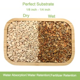 NOHOBE 2.5lb Premium Diatomite Rocks Soil Amendments Diatomaceous Earth(DE) Soil Additive for Succulent, Cacti, Indoor & Outdoor Container Plants- Fast Drainage, No Root Rot and Promotes Root Growth