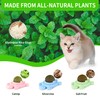 GBSYU Catnip Ball ‖ Catnip Balls for Cats Wall: silvervine