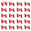 20PCS Canada Flag Pins Lapel Pin Badge Patriotic Souvenir