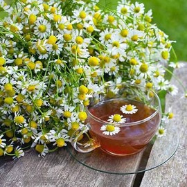 100% Natural Tea Chamomile Flowers 1.76 Oz / 50 gr Product of Ukrainian Carpathians (1 Pack)
