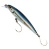 Rapala X-Rap Saltwater Long Cast Lure 14cm 54g Live Anchovy