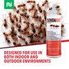 Dominant Liquid Ant Bait, Borax-Based Eliminator, Super Sweet Attractant, Controls