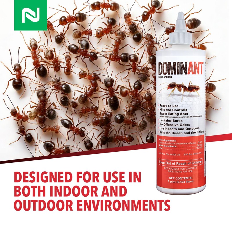 Dominant Liquid Ant Bait, Borax-Based Eliminator, Super Sweet Attractant, Controls