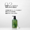 Scalp D Organic Shampoo, Men's Conditioner, Oily for Oily Skin,