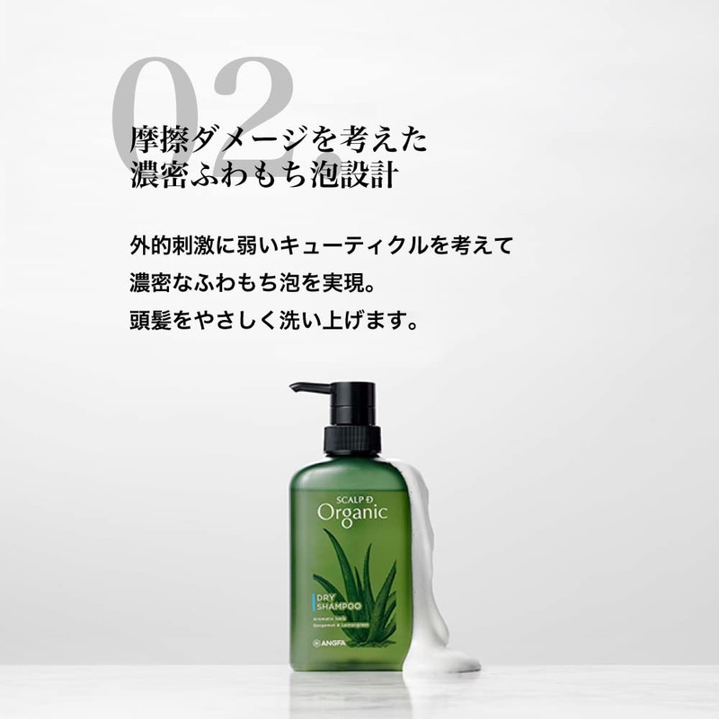 Scalp D Organic Shampoo, Men's Conditioner, Oily for Oily Skin,