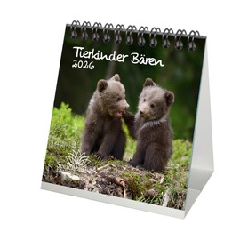 Tierkinder Bears Desk Calendar 10 cm x 10 cm for 2026 Bears – Gift Set Contents: 1 x Calendar, 1 x Christmas Pendant (Total 2 Pieces)