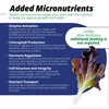 Jack's Professional 15-5-15 CA-MG LX Comprehensive Water-Soluble Fertilizer for Growth