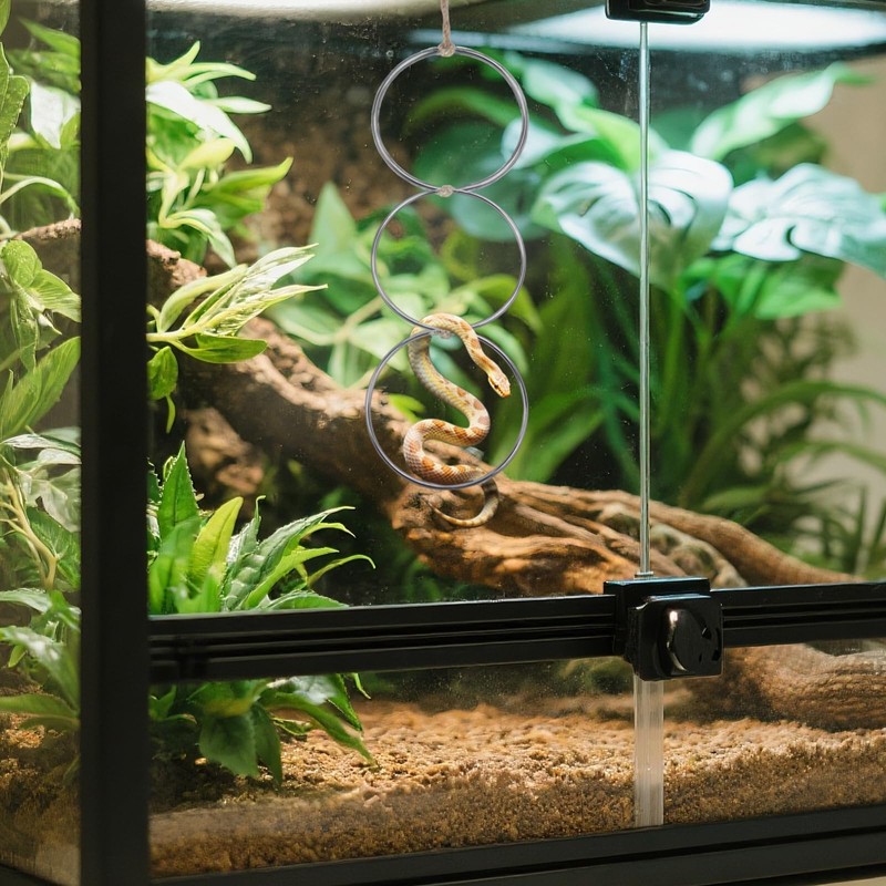 Adjustable Snake Climbing Links for Ball Pythons & Corn Snakes