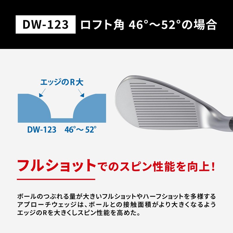 Kasco Dolphin Wedge DW-123 HEAD 60