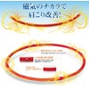 Phiten RAKUWA Magnetic Titanium Necklace S Red 45cm TG605152
