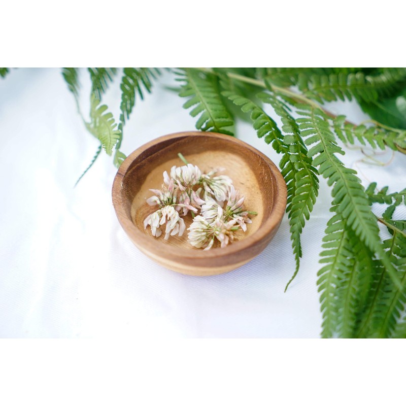 Windalf ELENOIRE Small Teak Bowl 3 cm Piece Salt &