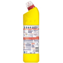 Domestos Citrus Bleach 750 ml