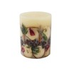 ROSY RINGS, SPICY APPLE MEDIUM BOTANICAL CANDLE, 6.5" TALL, 200