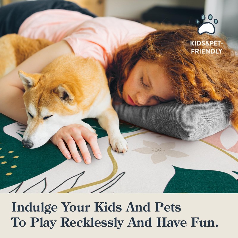 Lahome Washable Rug 5x7 - Rugs for Living Room 5x7