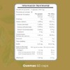 Revigen Oxemas 60 Caps. - Suplemento Alimenticio.